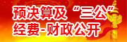 预决算及“三公”经费-财政公开
