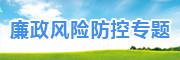 廉政风险防控专题