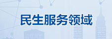 民生服务领域