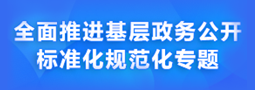 全面推进基层政务公开标准化规范化