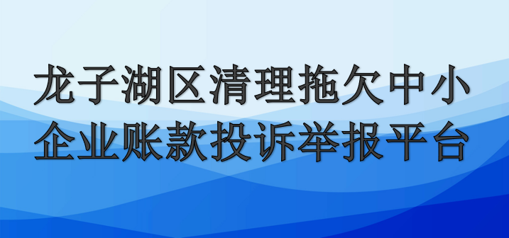 龙子湖区清理拖欠中小企业账款投诉举报平台