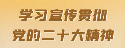 二十大栏目